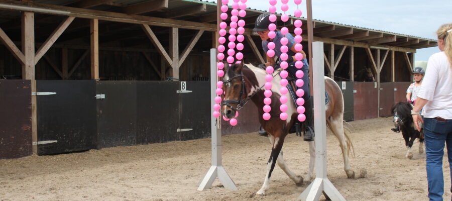 Bellino im Bällevorhang